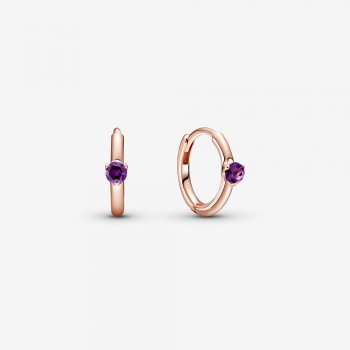 Purple Solitaire Huggie Hoop Earrings 289304C01