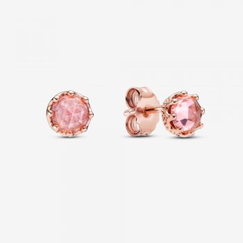 Pink Sparkling Crown Stud Earrings 288311C01